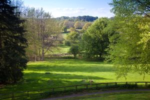 Larger Paddock/View - click for photo gallery